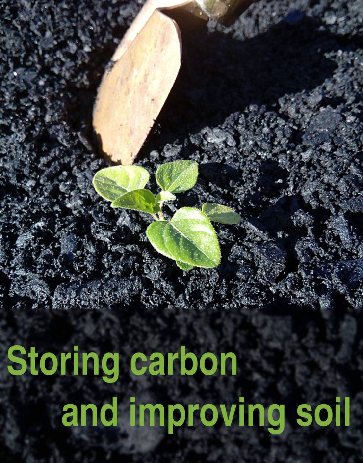 Storing carbon and improving soil